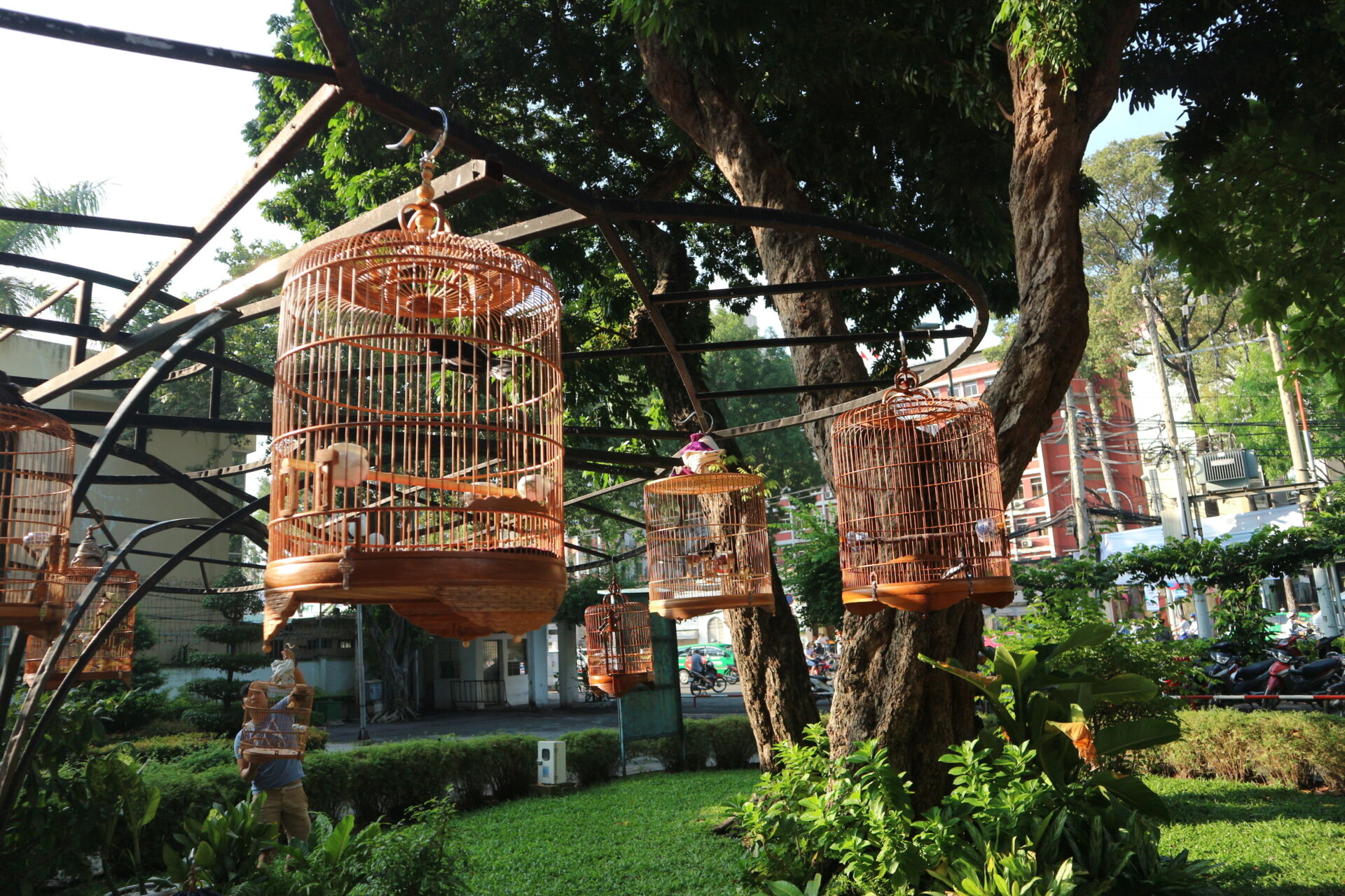 Immerse in Ho Chi Minh City’s sustainable heritage